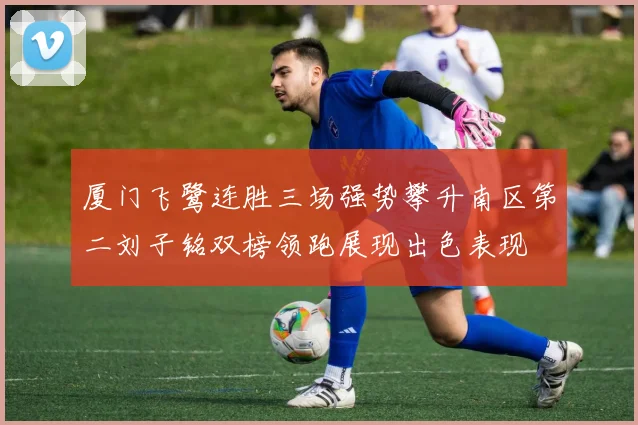 厦门飞鹭连胜三场强势攀升南区第二刘子铭双榜领跑展现出色表现