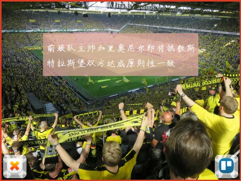 前狼队主帅加里奥尼尔即将执教斯特拉斯堡双方达成原则性一致